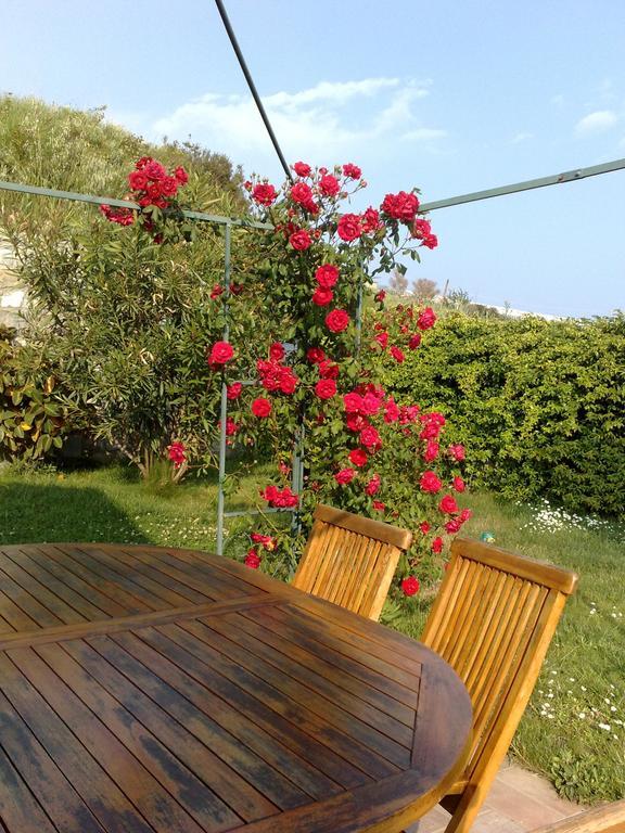 B&B Ariadamare 산레모 외부 사진